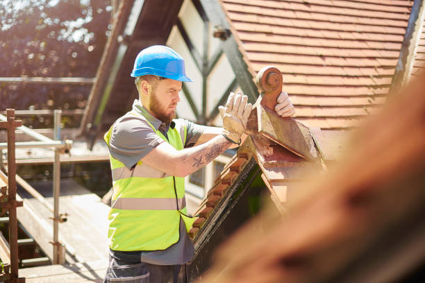 Best Metal Roofing Contractor  in Lake Landor, VA
